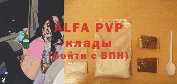 СК Надым