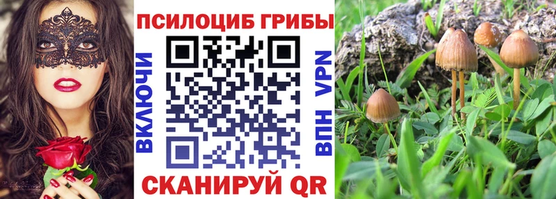Галлюциногенные грибы Psilocybe  Бирюч 