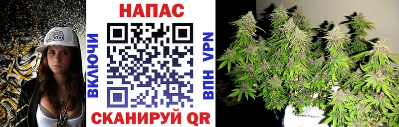 Бошки марихуана LSD WEED  цены наркотик  Бирюч 